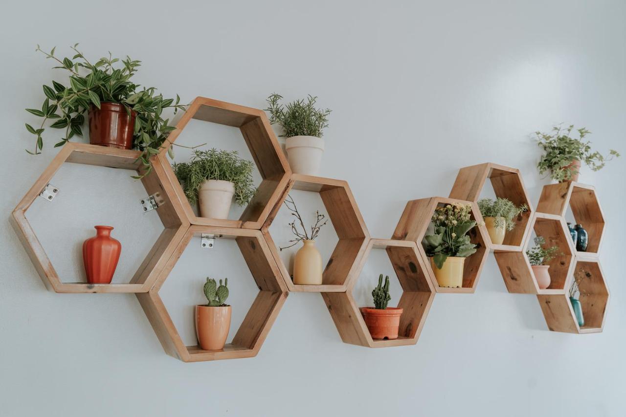 Le Cactus Hotel 하롱 외부 사진